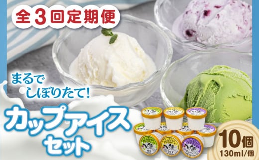 【全3回定期便】ミルク工房 カップアイスセット(130ml×10個)《喜茂別町》【ニセコリゾート観光協会】 アイス アイスクリーム ジェラート ミルク 抹茶 ブルーベリー 詰め合わせ 冷凍配送