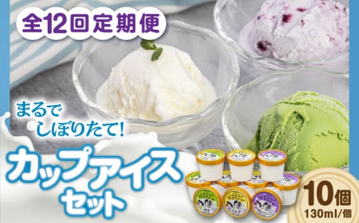 【全12回定期便】ミルク工房 カップアイスセット(130ml×10個)《喜茂別町》【ニセコリゾート観光協会】 アイス アイスクリーム ジェラート ミルク 抹茶 ブルーベリー 詰め合わせ 冷凍配送