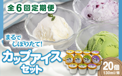 【全6回定期便】ミルク工房 カップアイスセット(130ml×20個)《喜茂別町》【ニセコリゾート観光協会】 アイス アイスクリーム ジェラート ミルク 抹茶 ブルーベリー 詰め合わせ 冷凍配送