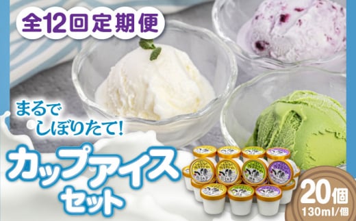 【全12回定期便】ミルク工房 カップアイスセット(130ml×20個)《喜茂別町》【ニセコリゾート観光協会】 アイス アイスクリーム ジェラート ミルク 抹茶 ブルーベリー 冷凍 冷凍配送 北海道