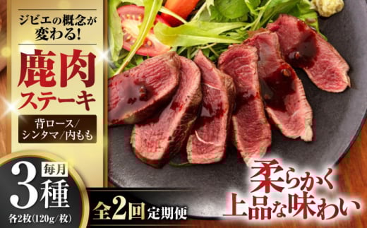 【12月上旬以降順次発送】【全2回定期便】鹿肉 ステーキ 3種セット ( 背ロース・シンタマ・内もも 各2枚 )《喜茂別町》【EBIJIN】 ジビエ モモ セット ステーキ 赤身 冷凍配送 定期便 北海道 [A