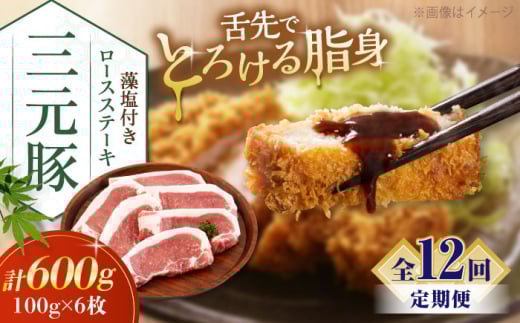 yS12ցzcq [XXe[L 600g (100g×6) t sΕʒtycqz ؓ [X Xe[L Xe[Lp Ƃ񂩂 IĂ  kC [AJAP025] 156000 156000~kC