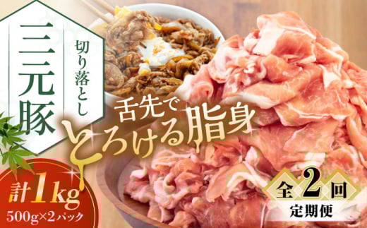 yS2ցzcq ؂藎Ƃ 1kg (500g×2P) sΕʒtycqz  ؓ IĂ  Ⓚ Ⓚz   kC cq O [AJAP030] 22000 22000~kCΕʒ220
