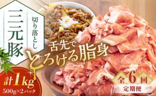 yS6ցzcq ؂藎Ƃ 1kg (500g×2P) sΕʒtycqz  ؓ IĂ  Ⓚ Ⓚz   kC cq O [AJAP032] 66000 66000~kCΕʒ660