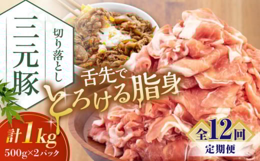 yS12ցzcq ؂藎Ƃ 1kg (500g×2P) sΕʒtycqz  ؓ IĂ  Ⓚ Ⓚz   kC cq O [AJAP033] 132000 132000~kCΕʒ