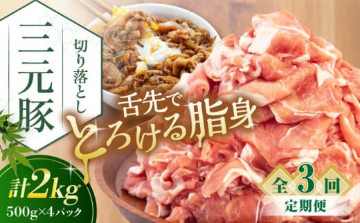 yS3ցzcq ؂藎Ƃ 2kg (500g×4P) sΕʒtycqz  ؓ IĂ  Ⓚ Ⓚz   kC cq O [AJAP035] 60000 60000~ 6~kC