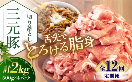 yS12ցzcq ؂藎Ƃ 2kg (500g×4P) sΕʒtycqz  ؓ IĂ  Ⓚ Ⓚz   kC cq O [AJAP037] 240000 240000~ 24~kC