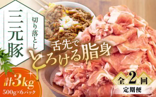 yS2ցzcq ؂藎Ƃ 3kg (500g×6P) sΕʒtycqz  ؓ IĂ  Ⓚ Ⓚz   kC cq O [AJAP038] 60000 60000~ 6~kC