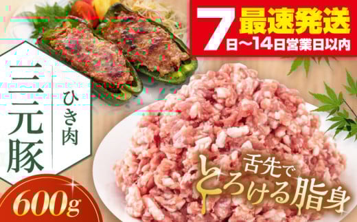 cq Ђ 600g sΕʒtycqz  ؓ ~` ؃~` Lq  Ⓚz kC cq O [AJAP076] 7000 7000~ 7~kCΕʒ7000ؓ