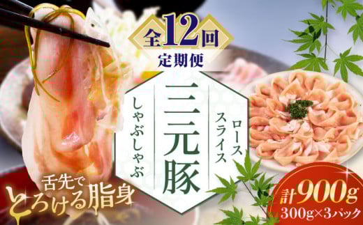 yS12ցzcq ԂԃZbg 900g [X EziV sΕʒtycqz  ؓ [X [X Zbg Ԃ  Ⓚz kC [AJAP085] 228000 228000