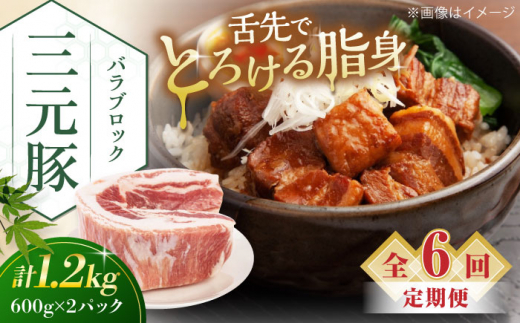 yS6ցzcq oubN 1.2kg (600g×2P) sΕʒtycqz  ؓ o ubN ϓ | ϕ Ⓚz   kC cq O [AJAP108] 78000 78000~kC