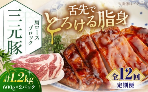 yS12ցzcq [XubN 1.2kg (600g×2P) sΕʒtycqz  ؓ [X ubN [Xg|[N ϓ | ϕ  kC [AJAP117] 208000 208000~kC