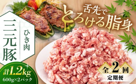 yS2ցzcq Ђ 1.2kg (600g×2P) sΕʒtycqz  ؓ ~` ؃~` Lq   Ⓚz   kC cq O [AJAP122] 26000 26000~kC