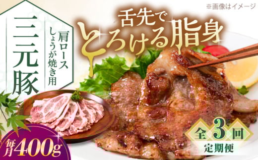 yS3ցzcq [X 傤Ăp 400g (200g×2P)sΕʒtycqzcq  ؓ [X IĂ XCX Ⓚz  kC [AJAP136] 27000 27000~kC
