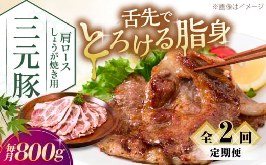 yS2ցzcq [X 傤Ăp 800g (200g×4P)sΕʒtycqzcq  ؓ [X IĂ XCX Ⓚz  kC [AJAP139] 32000 32000~kC