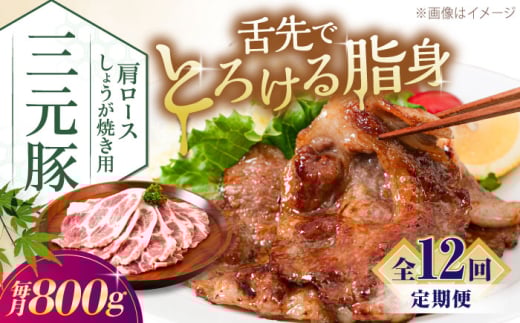 yS12ցzcq [X 傤Ăp 800g (200g×4P)sΕʒtycqzcq  ؓ [X IĂ XCX Ⓚz  kC [AJAP142] 192000 192000~kC