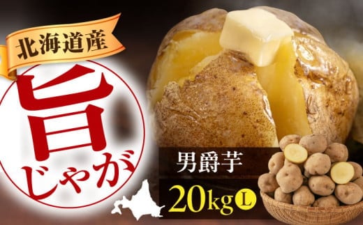 Ⴊ j݈ 20kg sΕʒtyAR[v悤Ăz Ⴊ   WKC C  j kC |eg Y Yn {  퉷 [AJAK009]kCΕʒ15000؁E