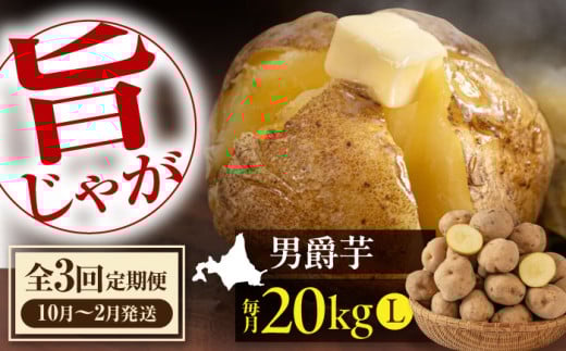 yS3ցzys\z Ⴊ j݈ 20kg sΕʒtyAR[v悤ĂzႪ   WKC C  j kC |eg Y Yn {  퉷 [AJAK0