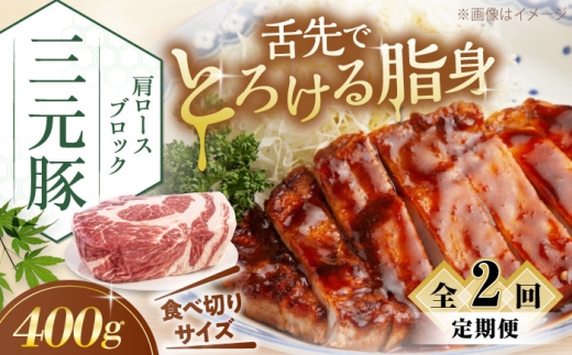 yS2ցzcq [X ubN 400g sΕʒtycqz  ؓ [X ubN [Xg|[N ϓ | ϕ Ⓚ Ⓚz kC cq O  [AJAP160] 16