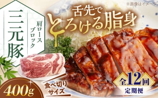 yS12ցzcq [X ubN 400g sΕʒtycqz  ؓ [X ubN [Xg|[N ϓ | ϕ Ⓚ Ⓚz kC cq  [AJAP163] 96000 96000