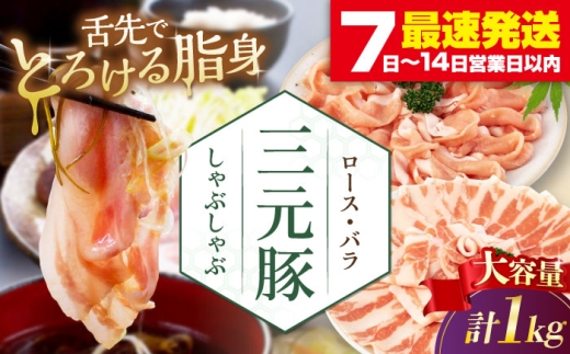 cq Ԃ Zbg 1kg ( [XEo )  EziV sΕʒtycqz Ԃ Ă ؓ ؃[X O [X o ؃o Zbg [AJAP179] 18000 18000~