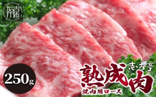 「熟成肉」焼肉(250g)《焼肉 熟成肉 ロース 牛肉 ロース 250g 牛 国産 和牛 おすすめ こだわり セット バーベキュー ブレンド塩 旨味 加古川市》【2402A00405】兵庫県加古川市20000肉牛肉