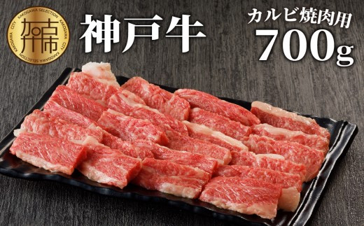 ★選べる配送月★【2月発送】神戸牛カルビ焼肉700g《 肉 カルビ 神戸牛 焼肉 国産 バーベキュー サシ 和牛 プレゼント ギフト お取り寄せ  おすすめ 》【2402A00214-02】兵庫県加古川市25000肉牛
