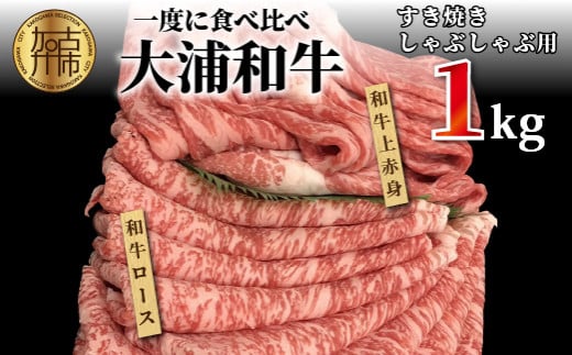 ★選べる配送月★【2月発送】大浦和牛すきやき・しゃぶセット(1kg)《 牛肉 牛 国産 すき焼き しゃぶしゃぶ セット おすすめ ロース 赤身 美味しい 食べ比べ 》【2405A00207-02】兵庫県加古川市50