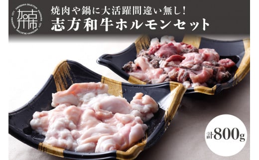 志方和牛ホルモンセット(小腸400g・MIXホルモン400g)【2401A00615】兵庫県加古川市13000肉牛肉