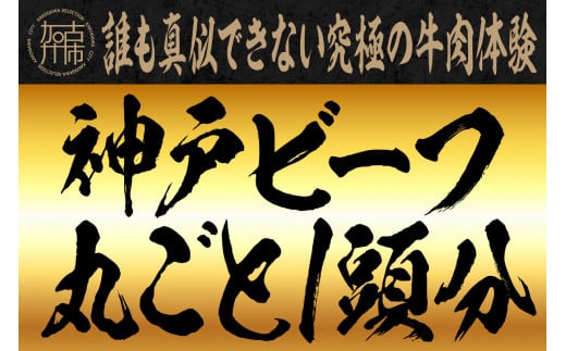 誰も真似できない究極の牛肉体験【神戸ビーフ丸ごと1頭分】【2499A00614】兵庫県加古川市12500000肉牛肉