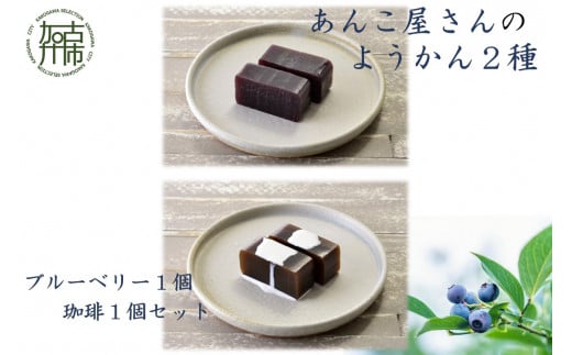 【老舗の味】あんこやさんの「ようかん2種」(ブルーベリー1個・珈琲1個セット)《 珈琲ようかん ブルーベリーようかん ようかん 羊羹 ようかんセット 老舗 お菓子 和菓子 》【2401H05921】兵庫