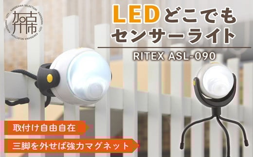 RITEX ASL-090 LEDǂłZT[Cg s h hƃCg dr LED ZT[Cg 퓔 hƃObY O Lv ЃTV  ӂ邳Ɣ[ ԗi  pi v[g