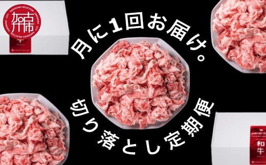 S12 ̂܂Ð vZXa ؂藎Ƃ(500g×12)s   a ؂藎Ƃ  Ⴊ  vRM J[ g    v[g ty241