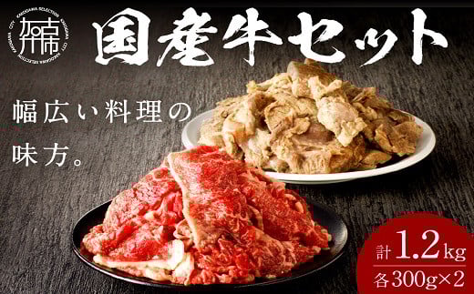 【国産牛】料理の味方セット(切り落とし・ボイルスジ肉)《 肉 牛肉 切り落とし肉 牛すじ 国産 セット 》【2301A09910】兵庫県加古川市15000肉牛肉