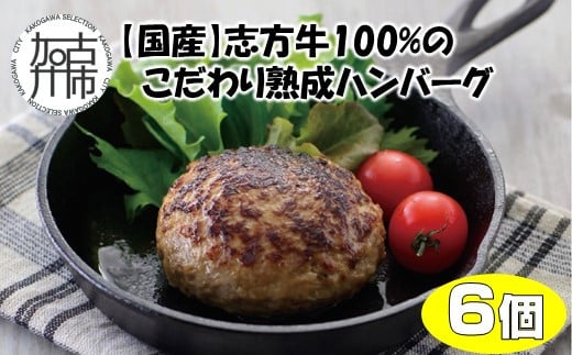 yYzu100%̂nno[O150g×6s no[O Y  100%   Zbg Ⓚ  y  O  Mtg  ty2401I05941zɌÐs13000