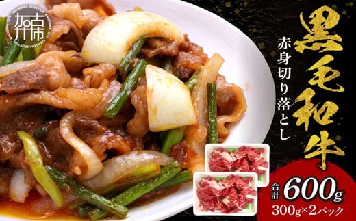 【肉のまち かこがわ】黒毛和牛 赤身切り落とし スライス300g×2 《 黒毛和牛 和牛 牛肉 赤身 お肉 切り落とし 》【2401A00620】兵庫県加古川市13000肉牛肉