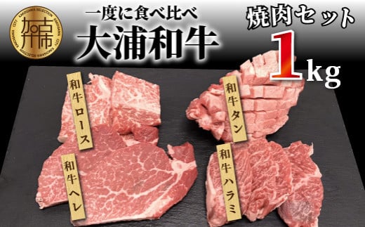 Iׂzy11zYaēZbg(1kg)s   Y ē Zbg  [X  ^ n~ w tB q q Hה o[xL[ ty2405A00206-11