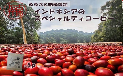 【ふるさと納税限定】インドネシアのスペシャルティコーヒー(ドリップパック)《 コーヒー ドリップパック 焙煎 Kotobuki焙煎 》【2400G11704】兵庫県加古川市5000お茶・飲料コーヒー・紅茶