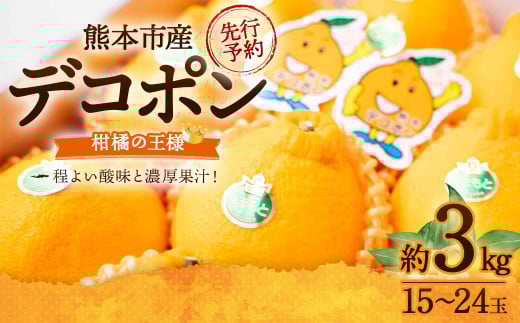 デコポン 約3kg (15〜24玉) 果物 くだもの フルーツ 柑橘 【2026年2月下旬〜3月下旬迄順次発送予定】熊本県熊本市10000果物・フルーツみかん・柑橘類