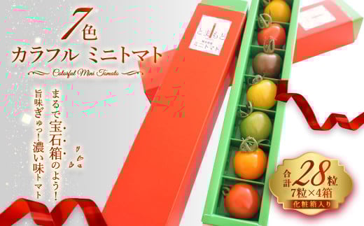 7色 カラフル ミニトマト 7粒×4箱セット トマト 完熟熊本県熊本市10000野菜・きのこトマト
