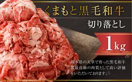 くまもと黒毛和牛 切り落とし 計1s(500g×2パック) 牛肉熊本県熊本市11000肉牛肉