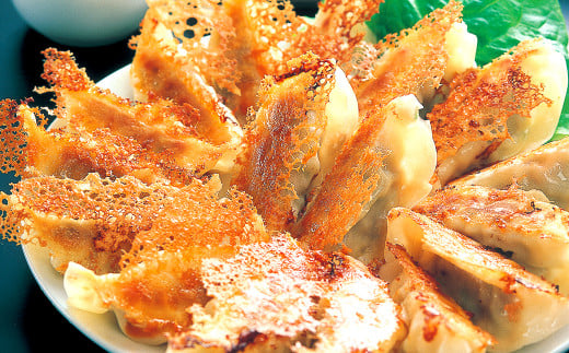 【3ヶ月定期便】 餃子の王国 黒豚 生餃子 105個×3ヶ月 255g(15個)×7パック ×3回熊本県熊本市30000鍋セット・総菜・加工食品総菜