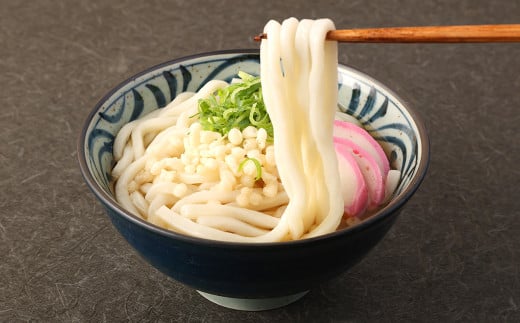 和風 スープ付き うどん 30食 210g×30袋 生タイプ麺熊本県熊本市9000麺うどん