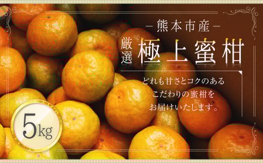 熊本市産 厳選 極上蜜柑 5kg 【2025年9月上旬〜2026年1月下旬迄発送予定】 みかん ミカン 柑橘 フルーツ 果物熊本県熊本市10000果物・フルーツみかん・柑橘類