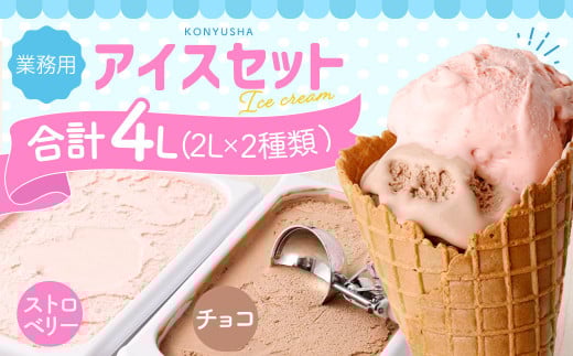 2Lアイス セット (チョコ・ストロベリー) 合計4L アイス 自家製 業務用 大容量 【2025年6月下旬順次発送開始】熊本県熊本市10000菓子・スイーツアイス・ジェラート