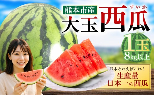 大玉西瓜(1玉入り)8kg以上 すいか スイカ【2026年5月上旬〜7月上旬迄順次発送予定】熊本県熊本市10000果物・フルーツメロン・スイカ
