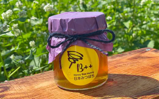 熊本県産 日本みつばちの蜂蜜 約250g熊本県熊本市10000鍋セット・総菜・加工食品ジャム・はちみつ