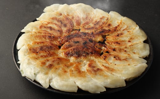 麻行餃子 計約2kg たれ 2本 ラー油 1本付熊本県熊本市17000鍋セット・総菜・加工食品総菜