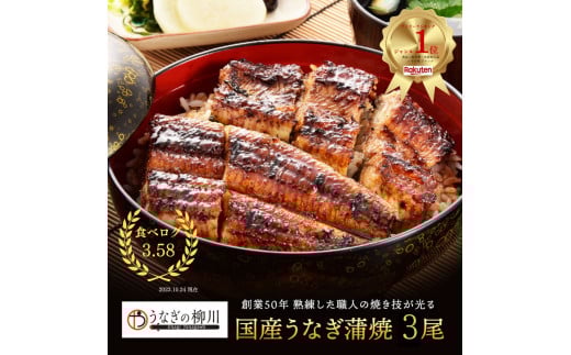 うなぎの蒲焼 (江戸前) 3尾セット熊本県熊本市27000魚介・海産物うなぎ