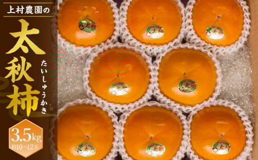 上村農園の 太秋柿 3.5kg (約10〜12玉) 【2025年10月下旬〜11月下旬迄発送予定】熊本県熊本市15000果物・フルーツその他 果物・フルーツ